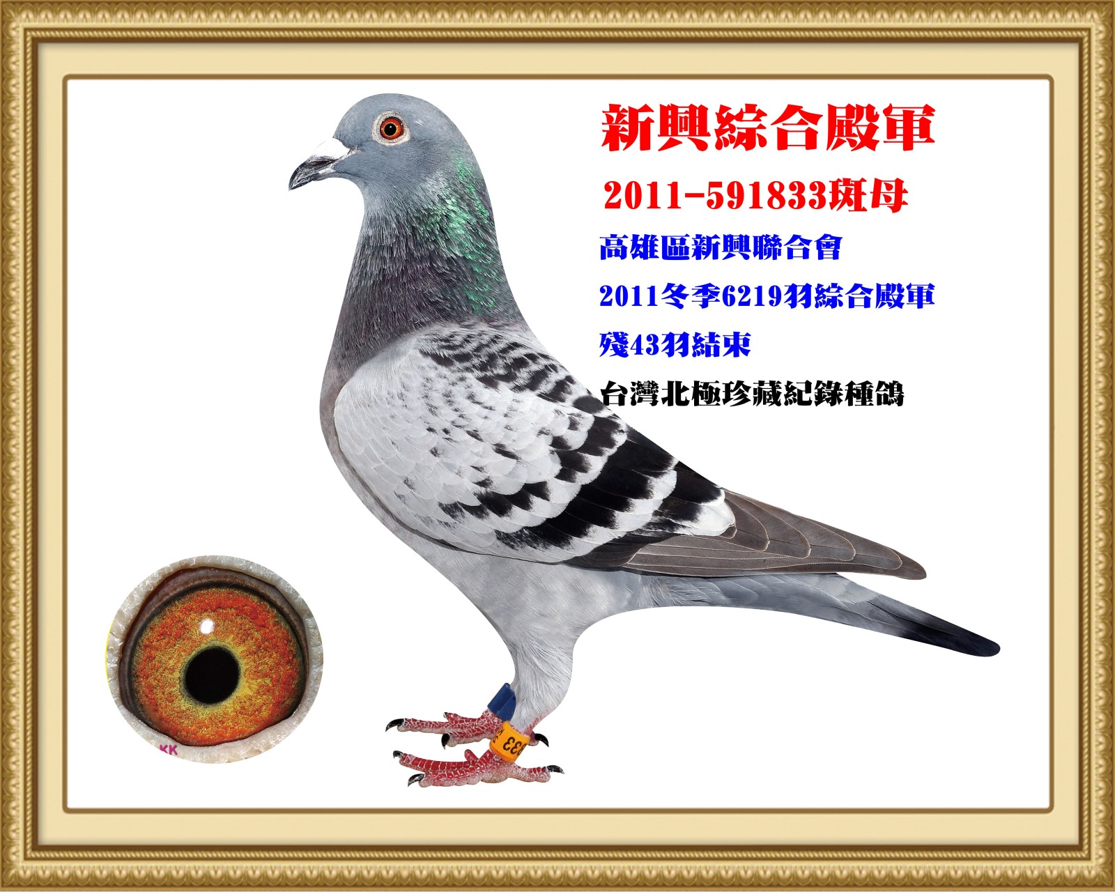 2011-591833.jpg