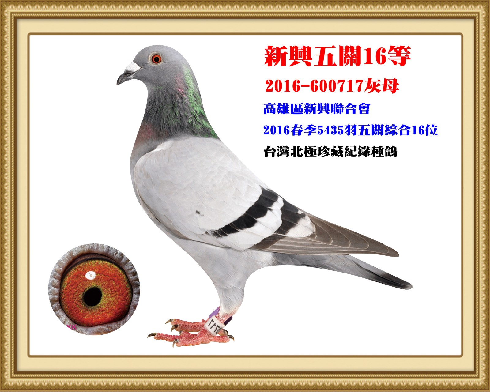 2016-600717.jpg