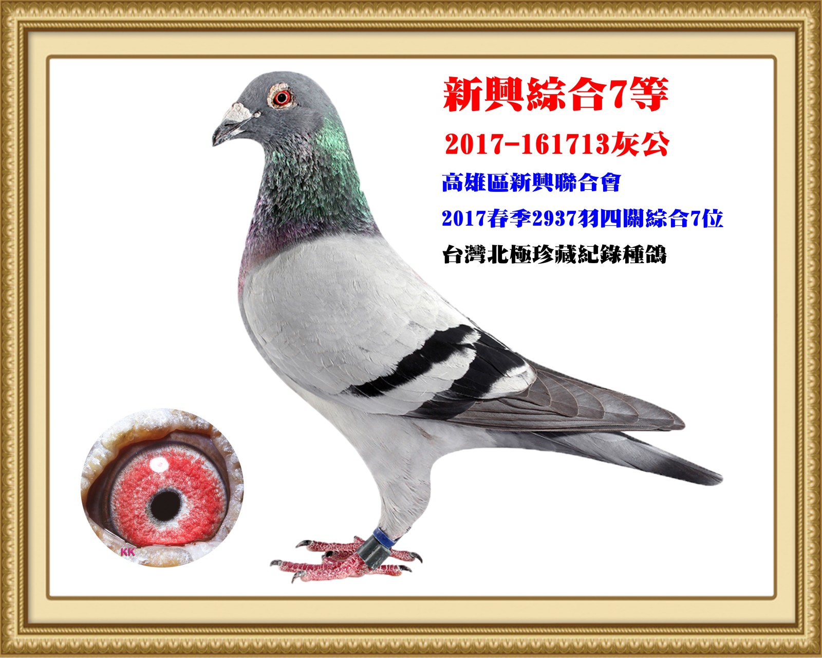 2017-161713.jpg