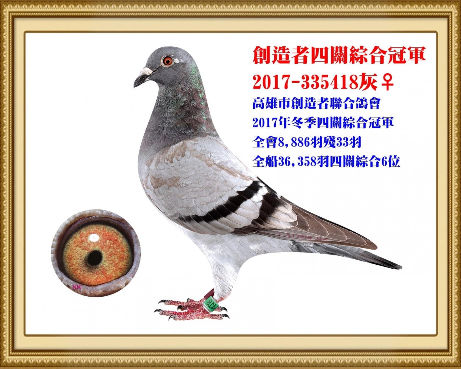 2017-335418.jpg