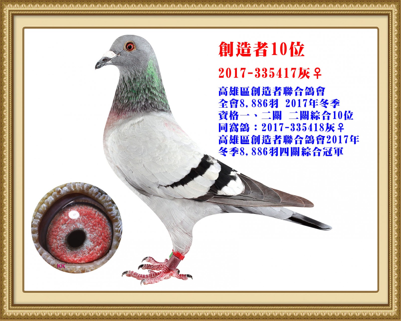 2017-335417.jpg
