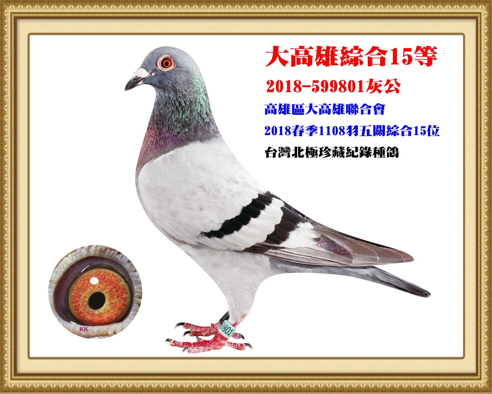 2018-599801.jpg