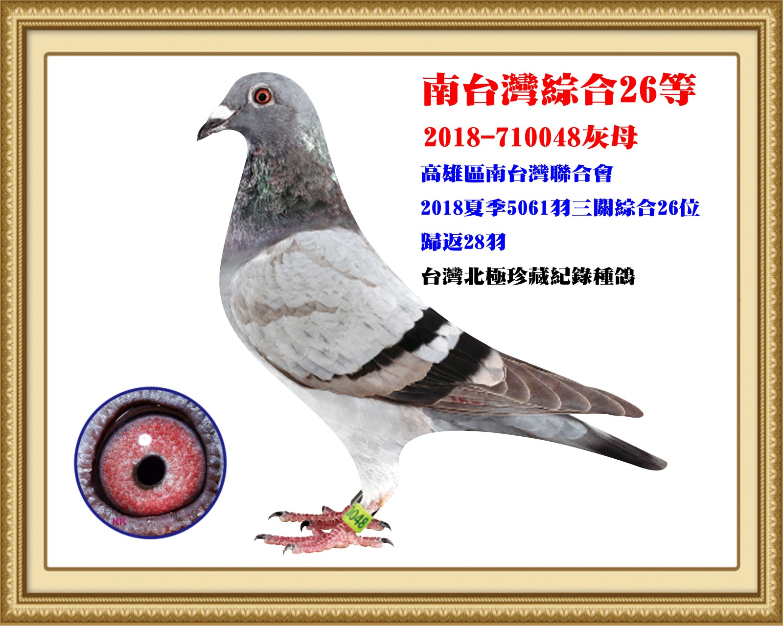 2018-710048.jpg