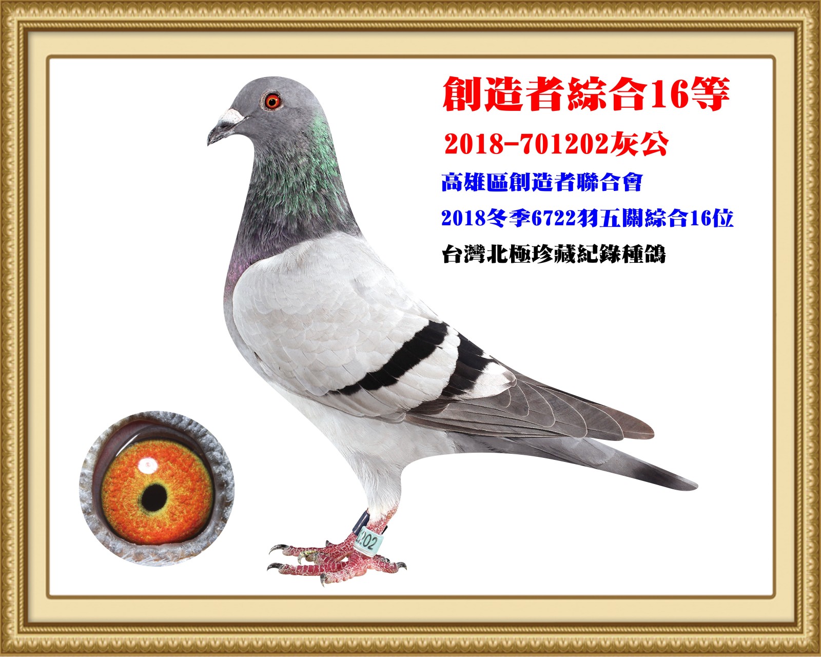 2018-701202.jpg