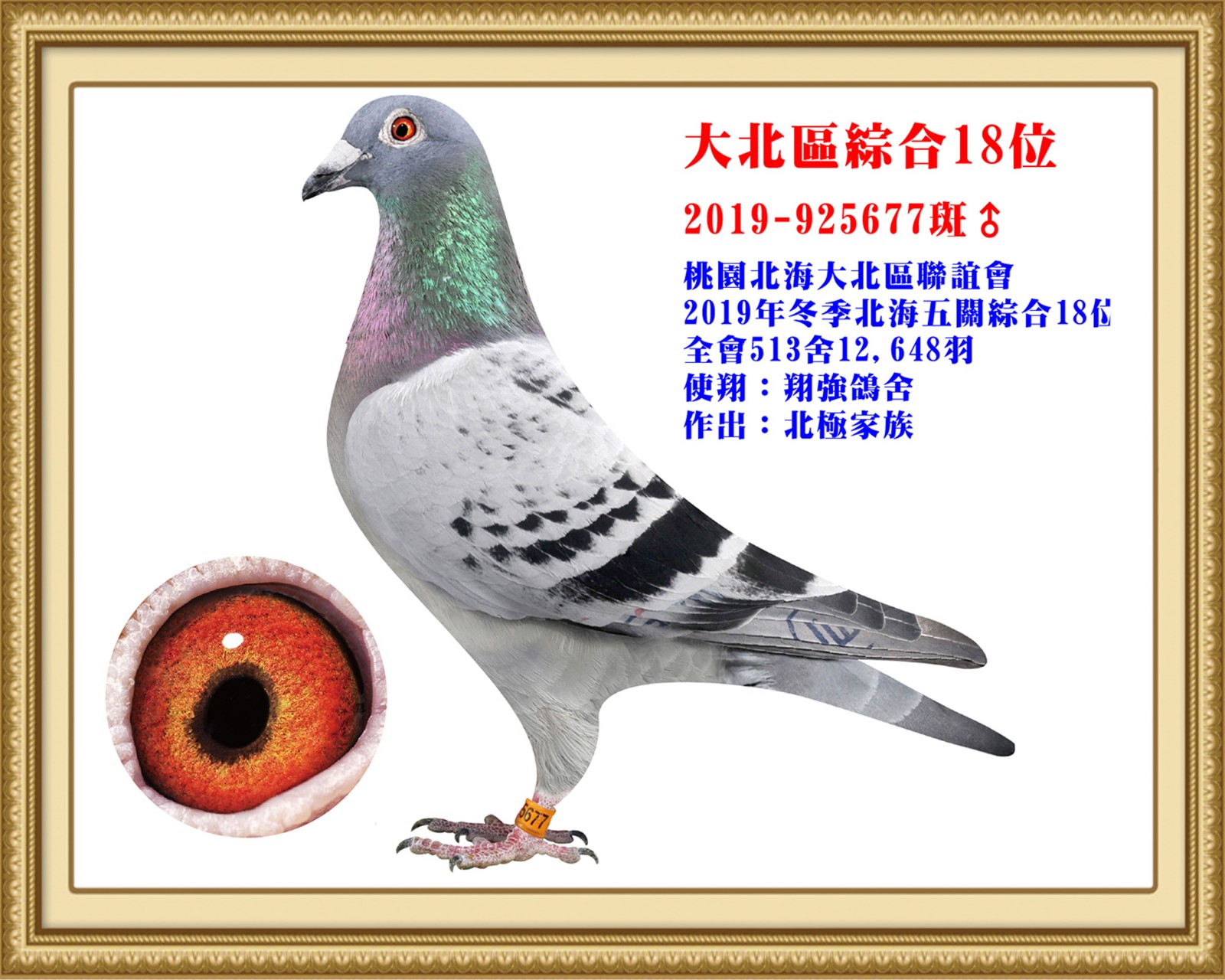 2019-925677-改.jpg