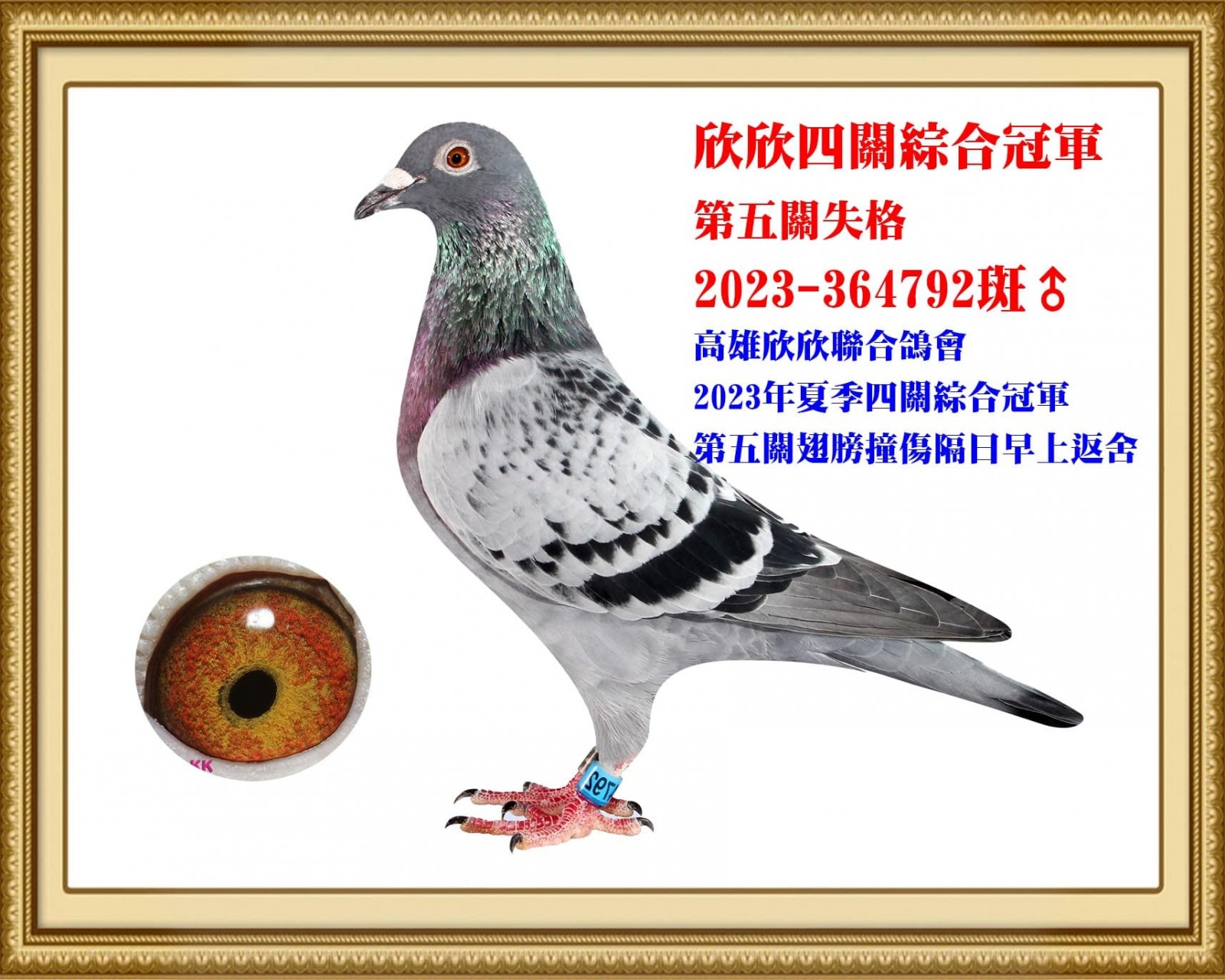 2023-364792 拷貝.jpg