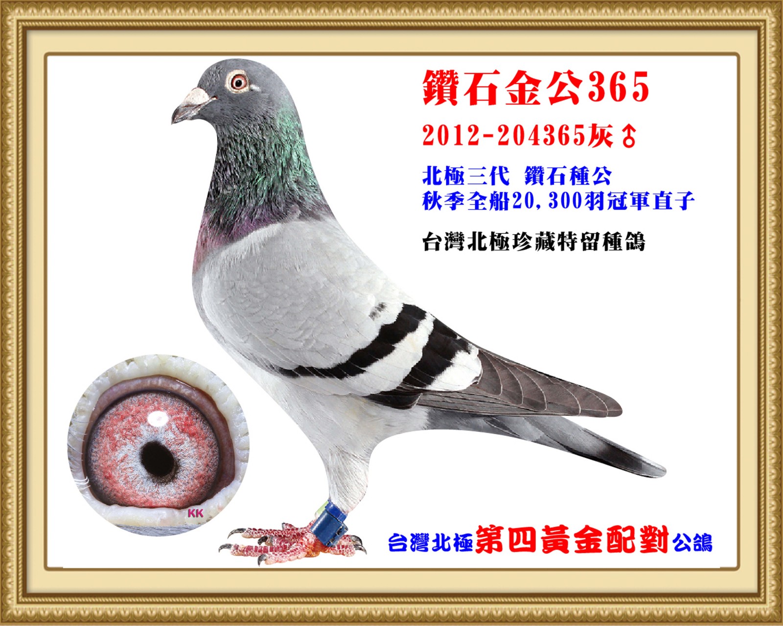 2012-204365-改 拷貝.jpg