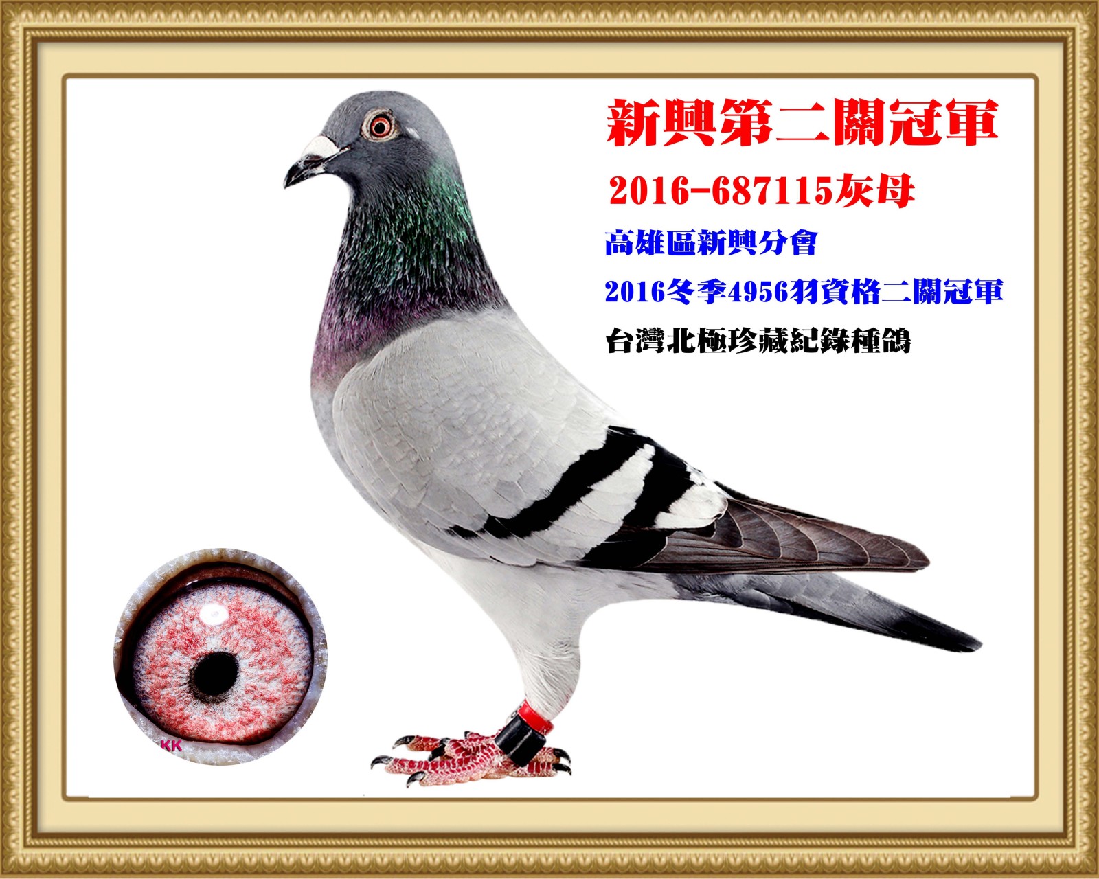 2016-687115-正確.jpg
