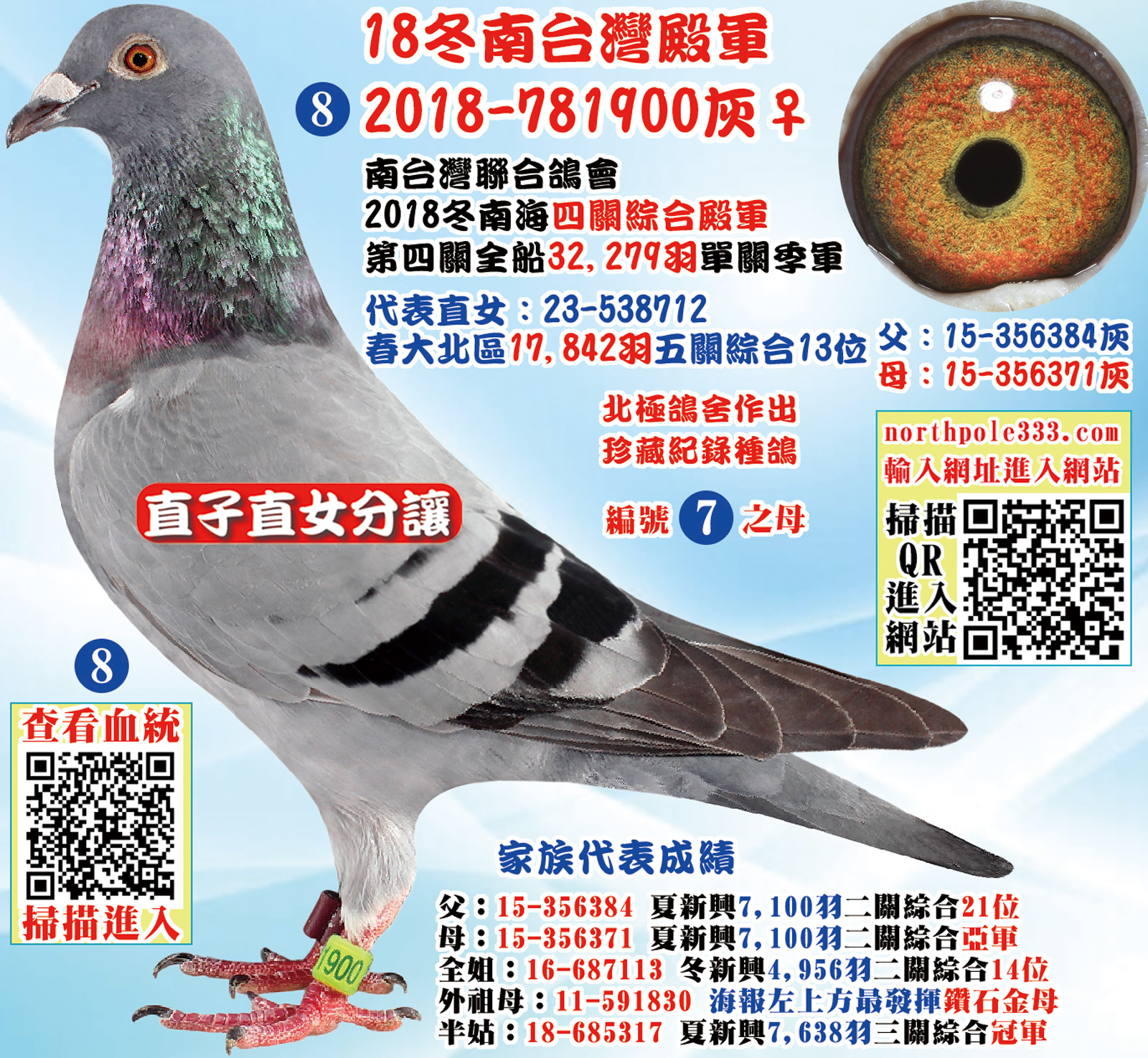網8-正確.jpg