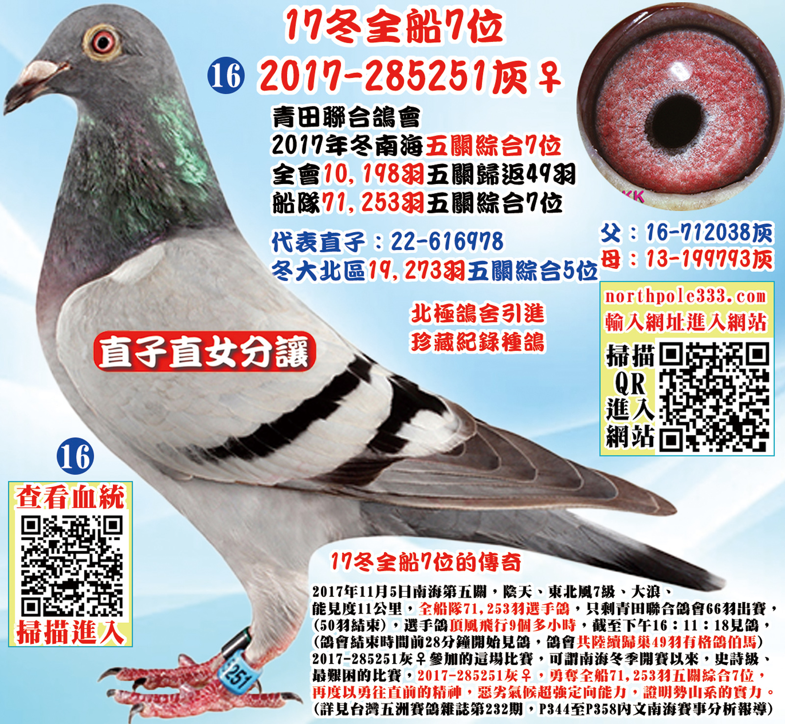 網16正確.jpg