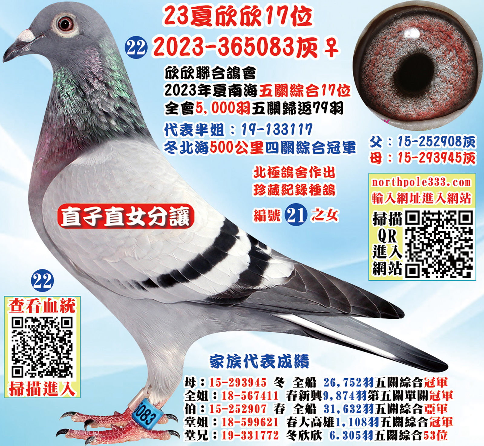 網22正確.jpg