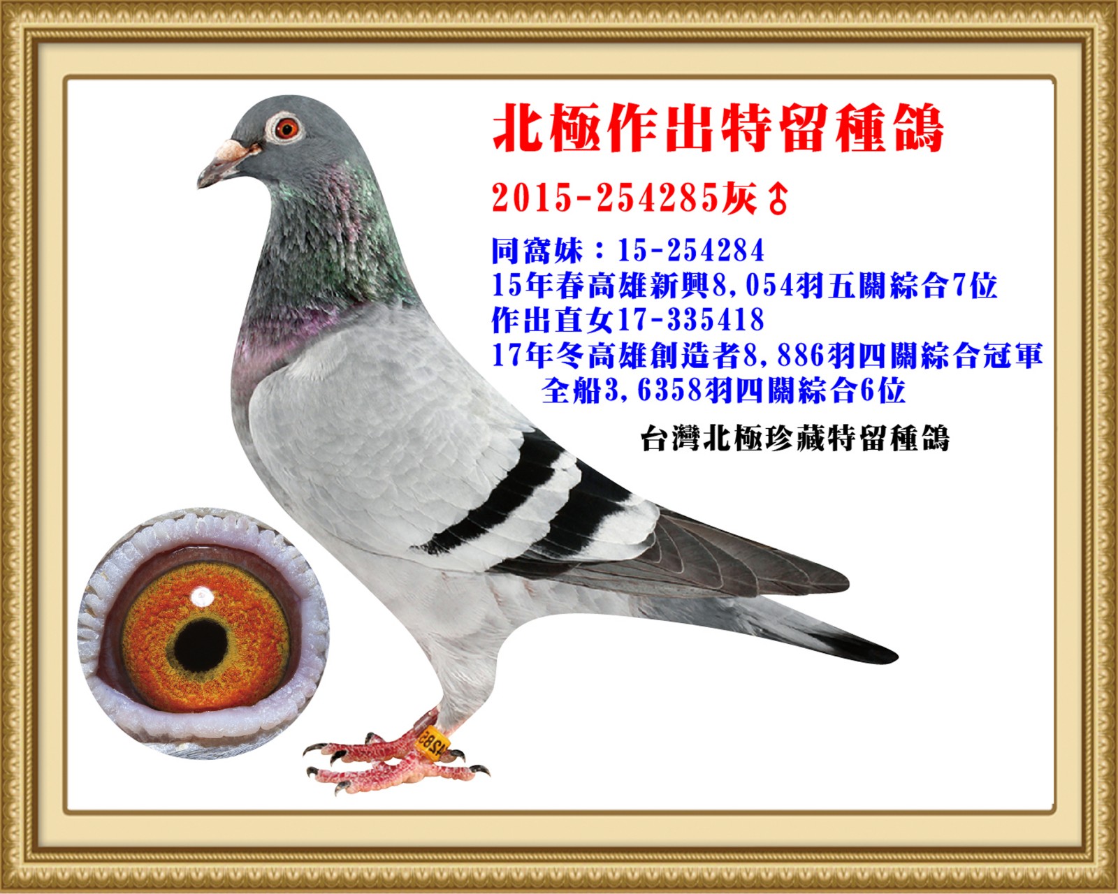 2015-254285-改.jpg