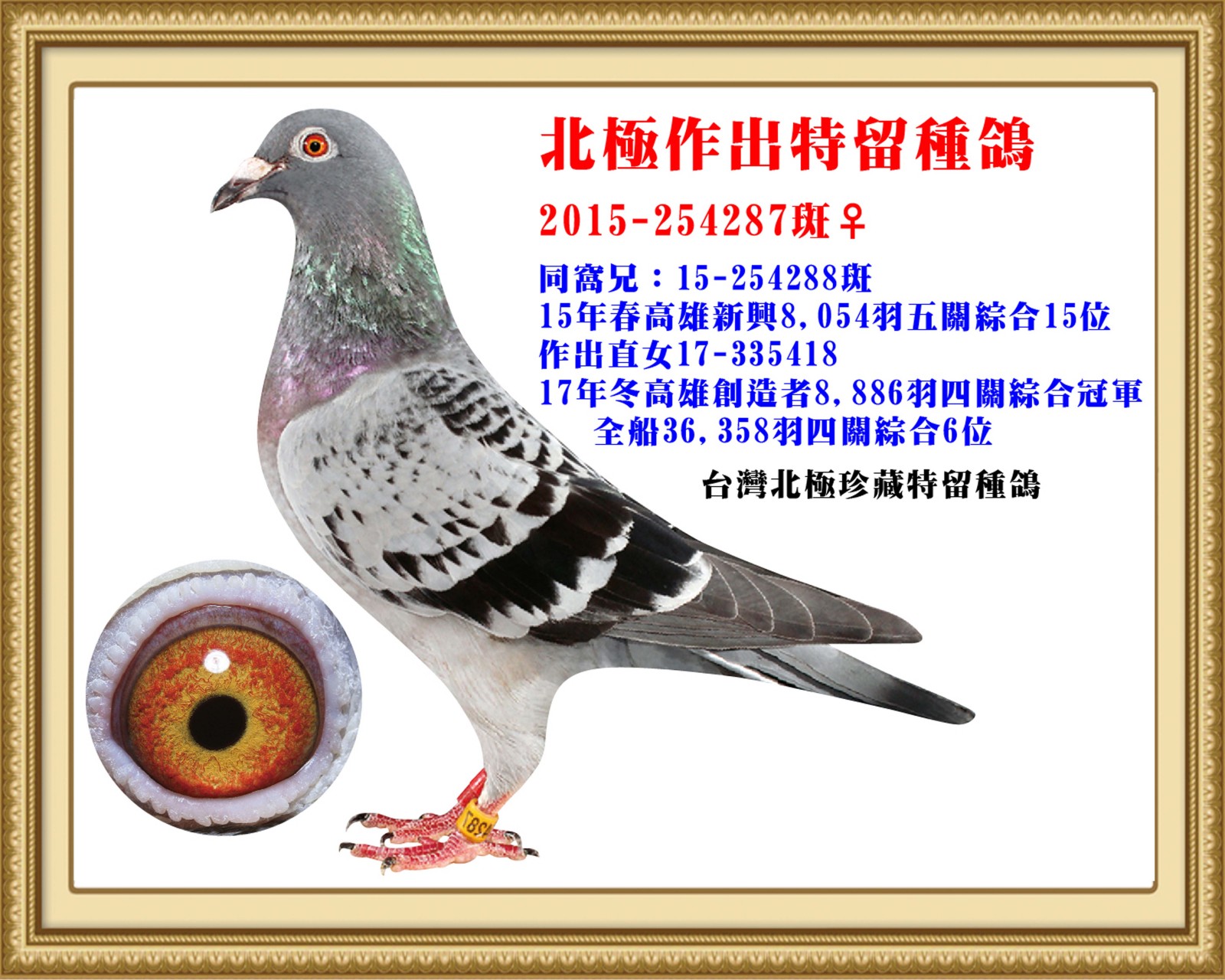 2015-254287-改.jpg