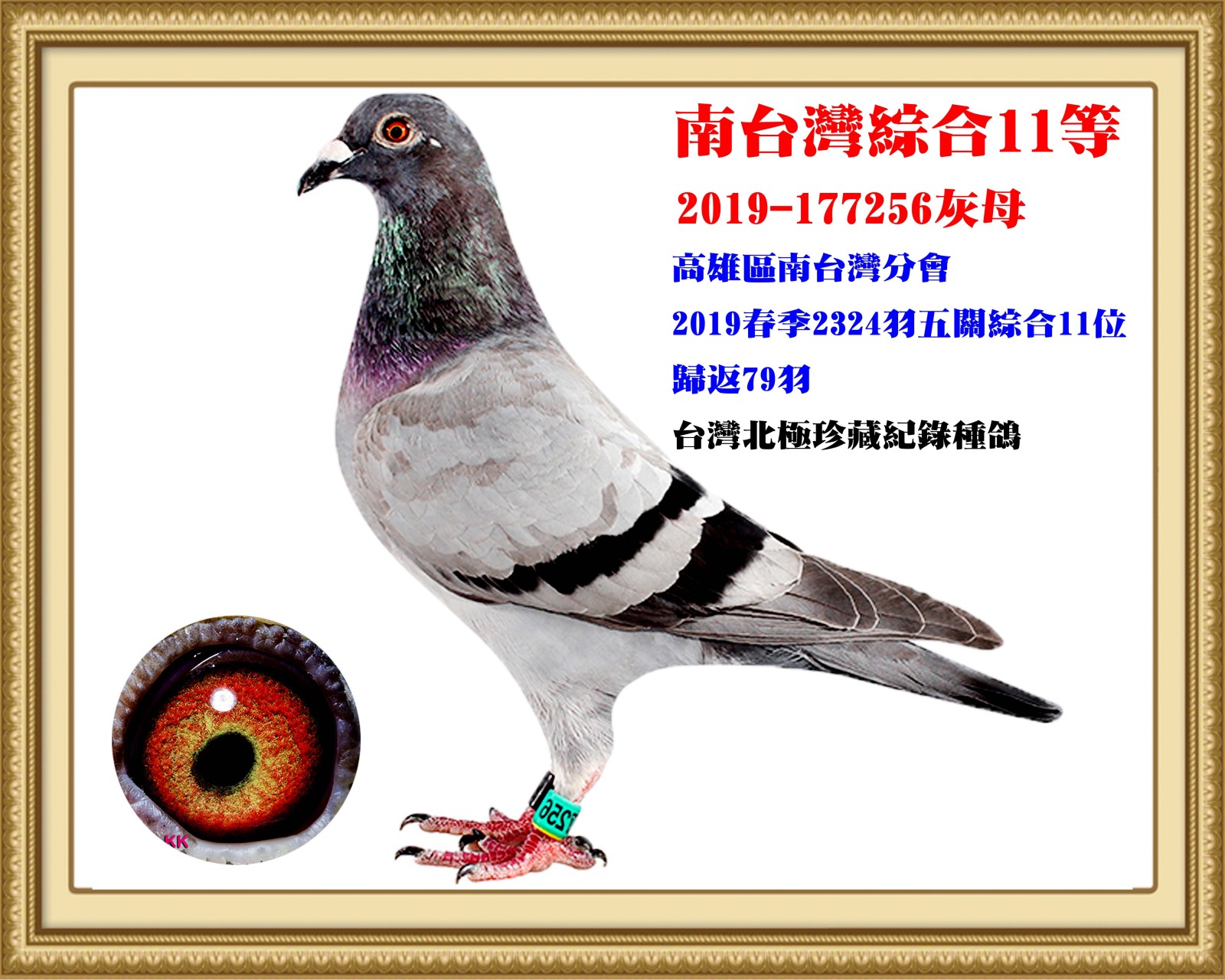 2019-177256-正確.jpg