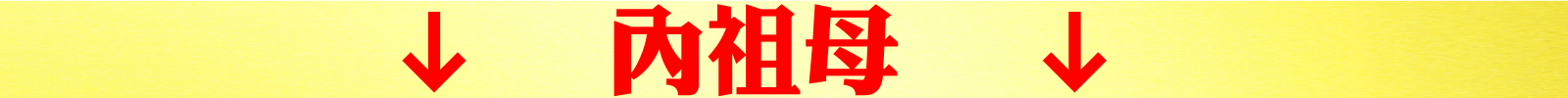 內祖母.jpeg