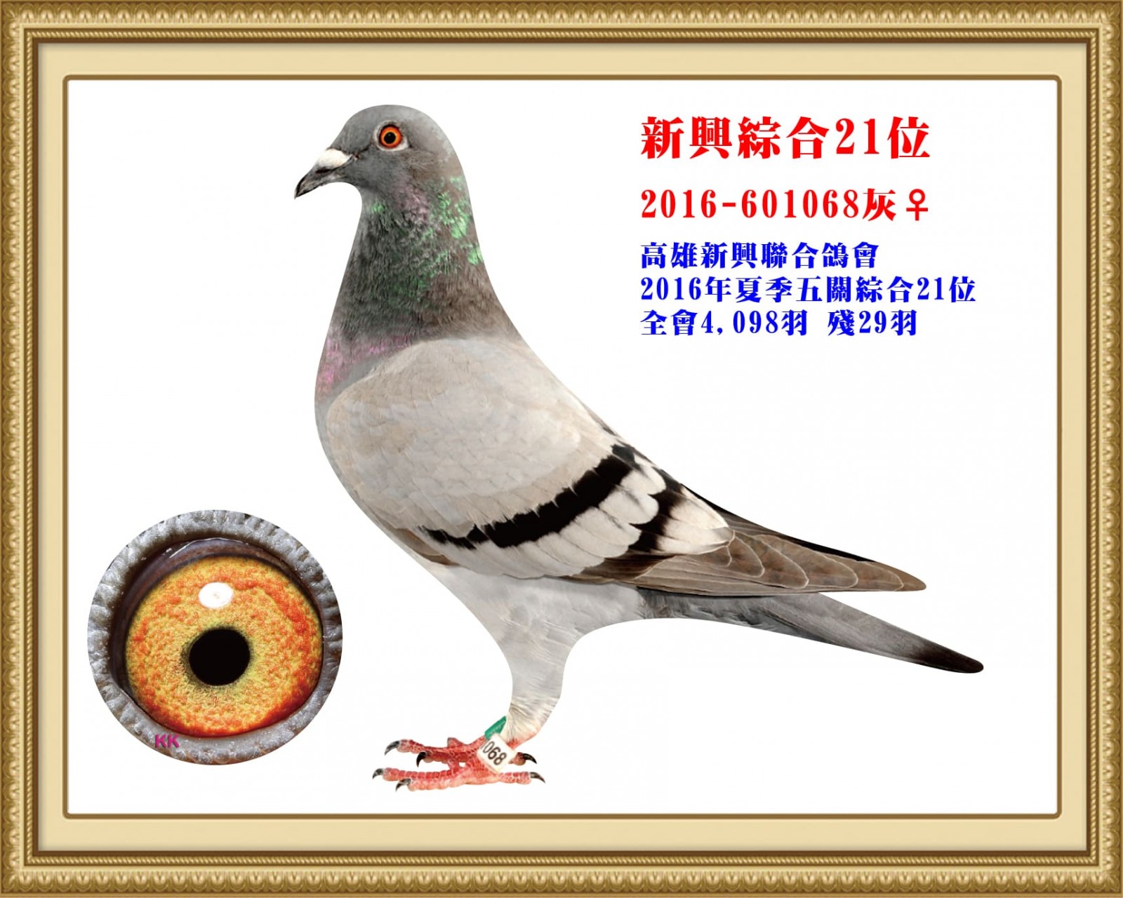 2016-601068.jpg