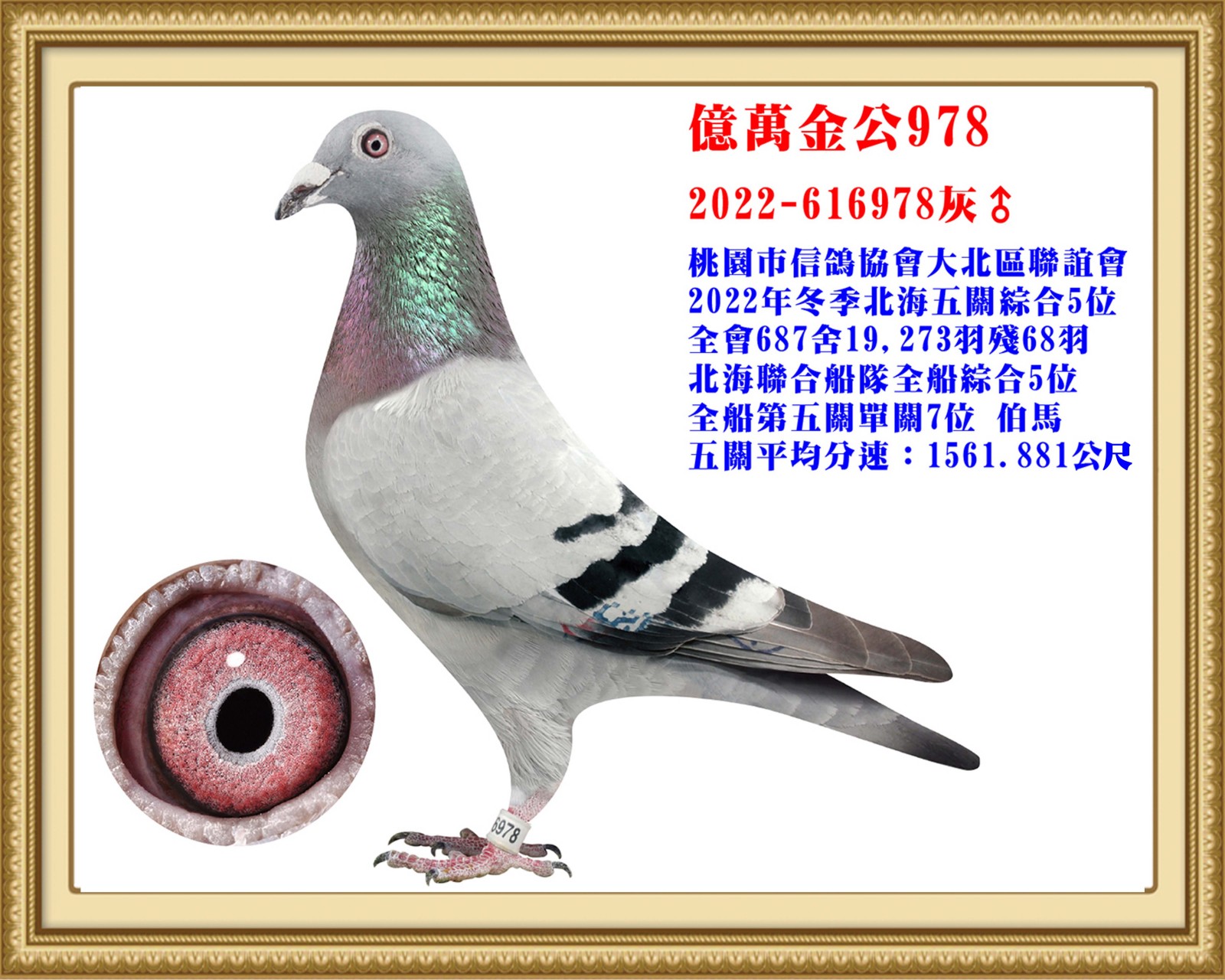 2022-616978-改壓.jpg