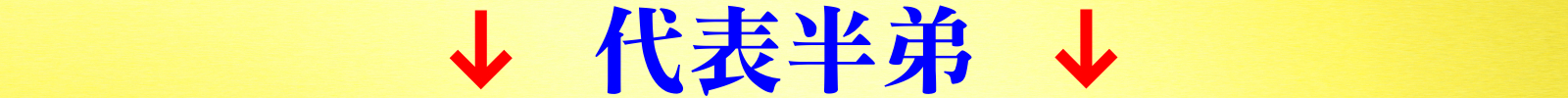 代表半弟.jpeg