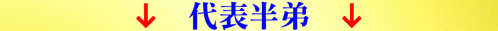 代表半弟.jpeg