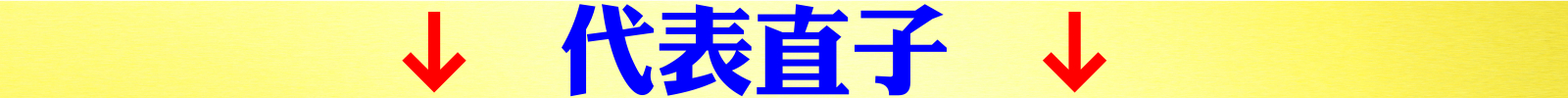 代表直子.jpeg