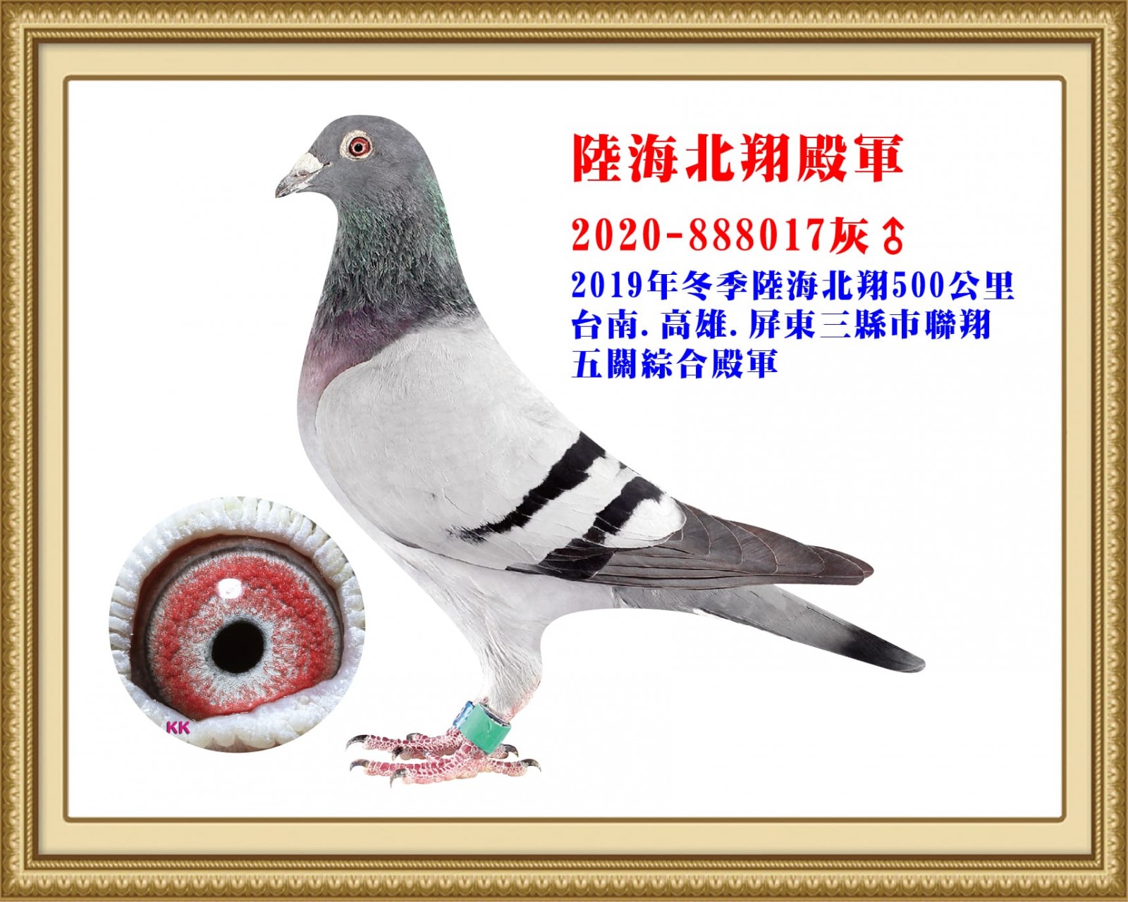 2020-888017-壓.jpg