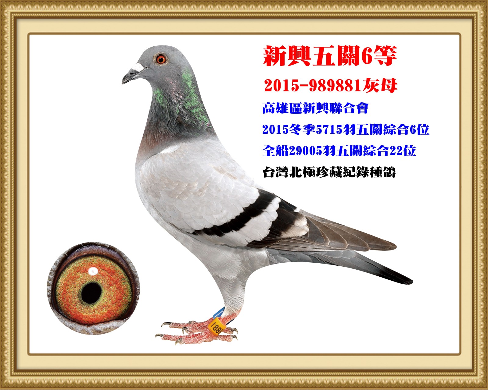 2015-989881.jpg