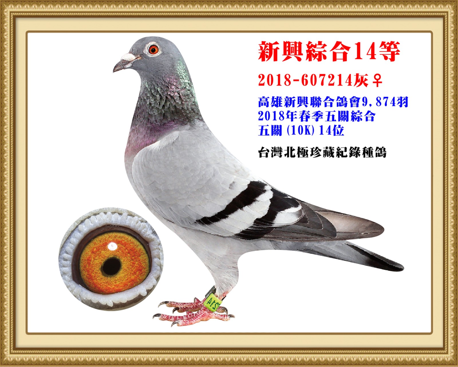 2018-607214-改-壓.jpg