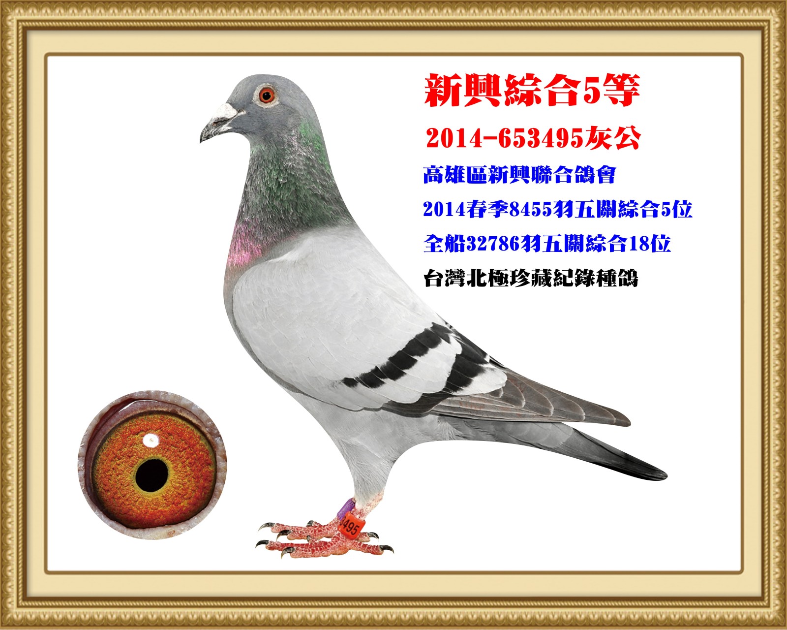 2014-653495.jpg