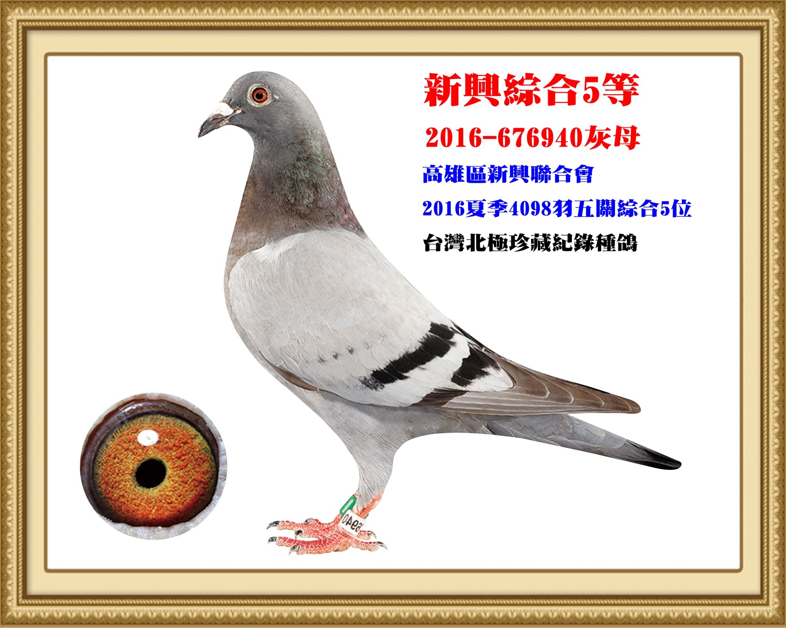 2016-676940.jpg