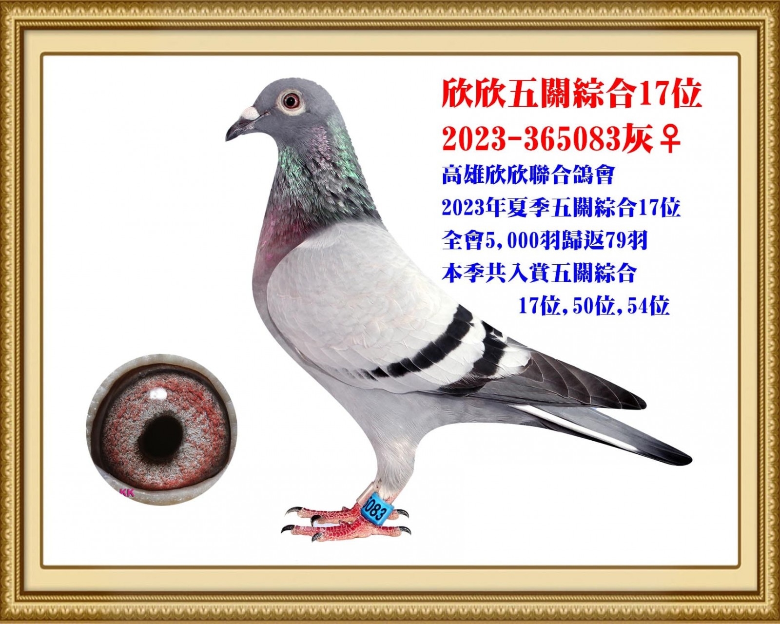 2023-365083 拷貝.jpg