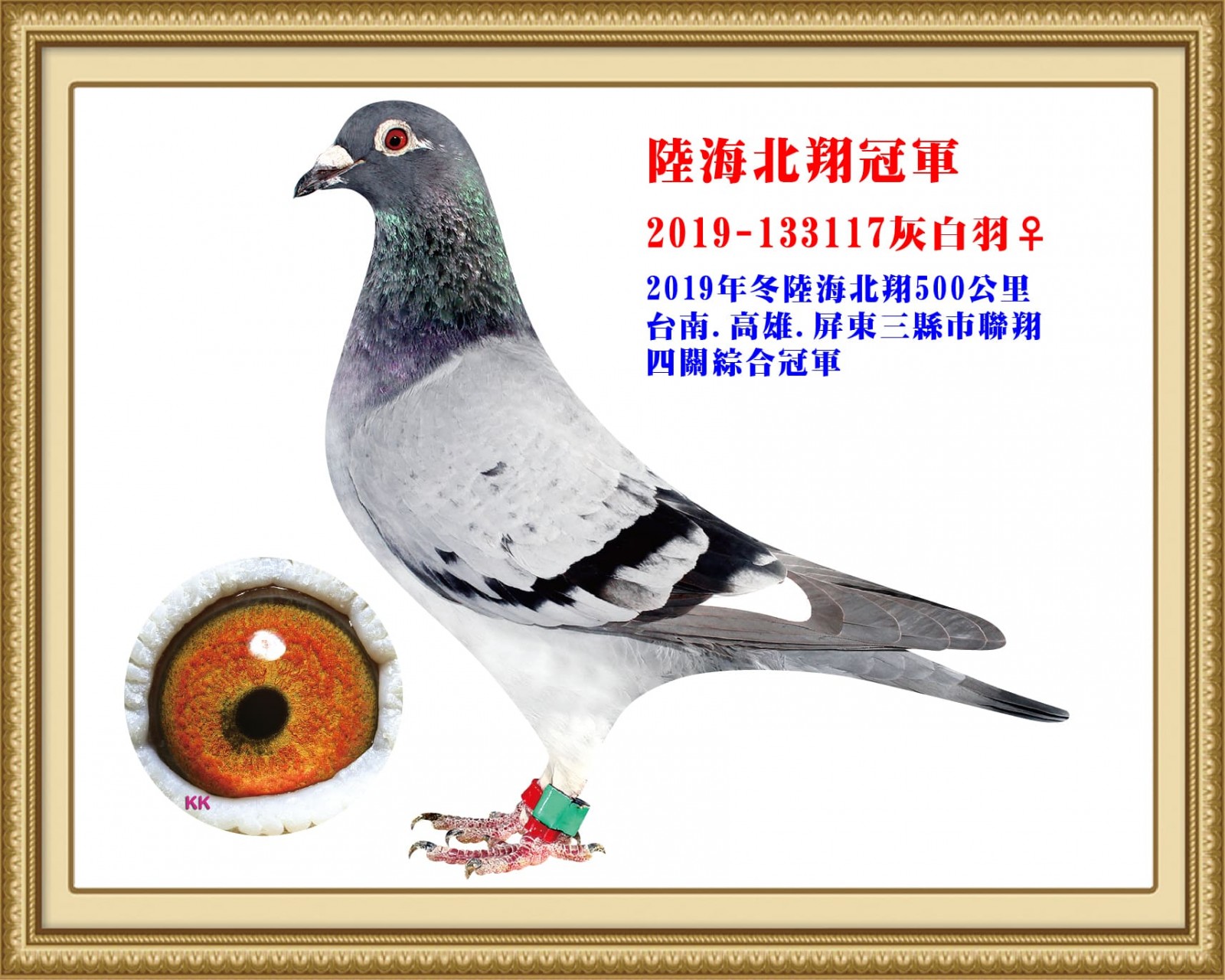 2019-133117.jpg