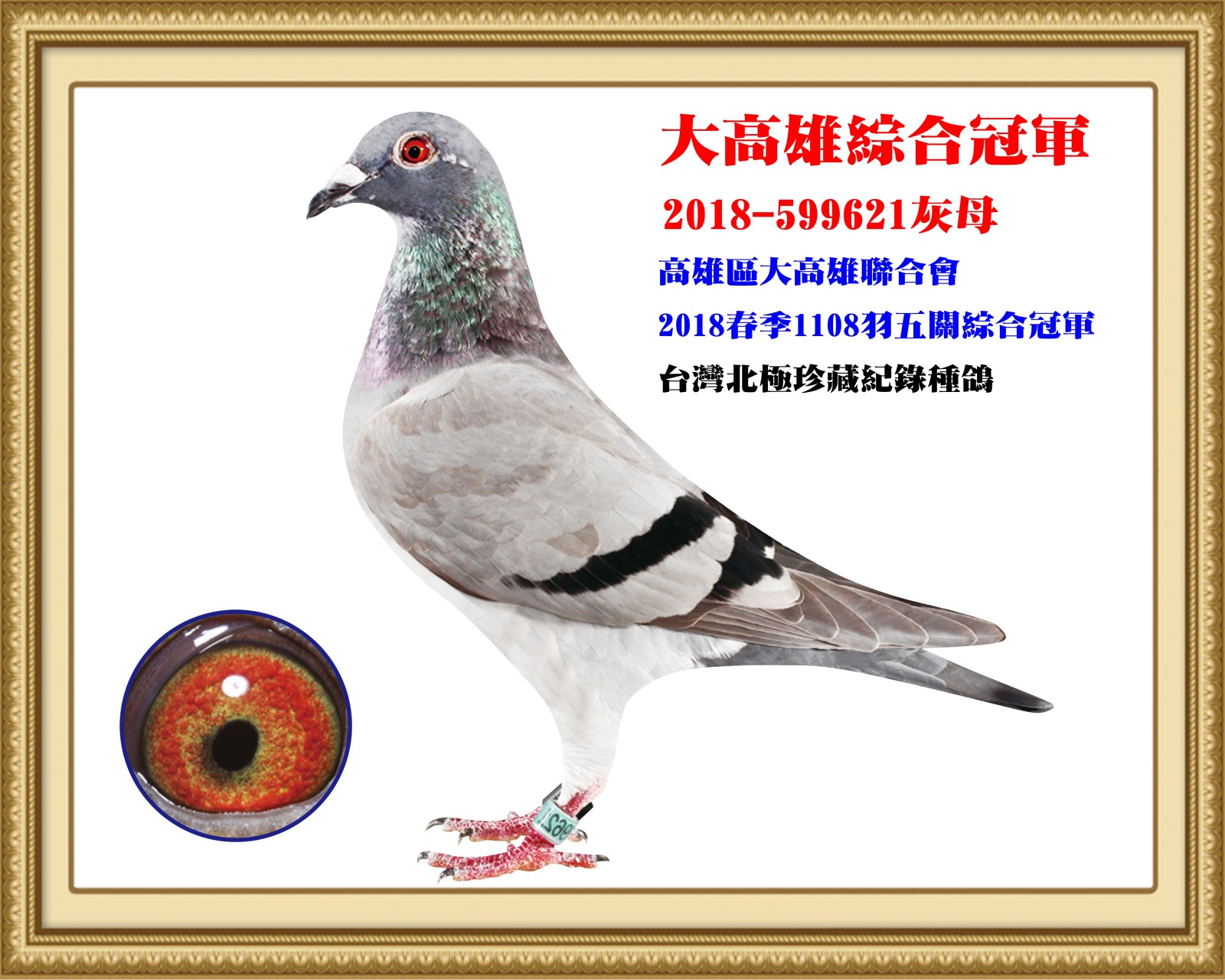 2018-599621.jpg