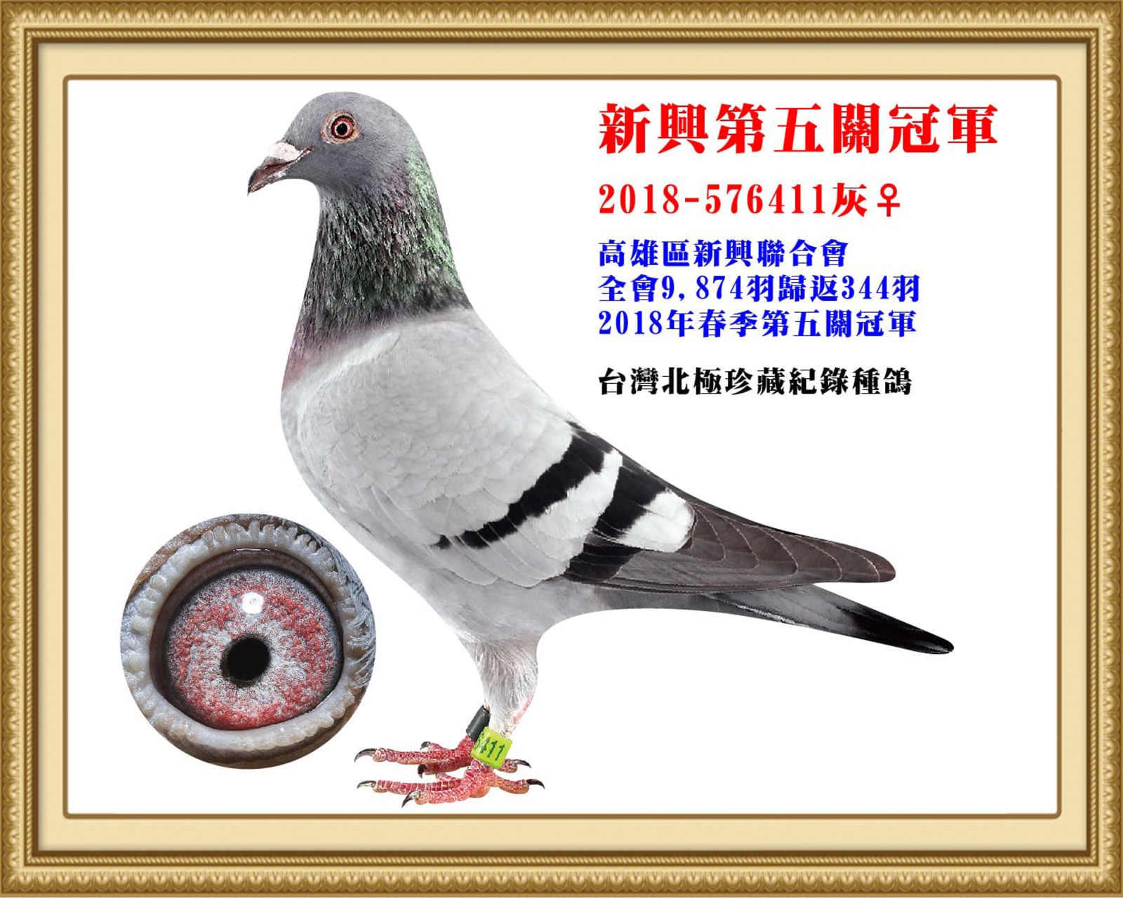 2018-576411-改.jpg