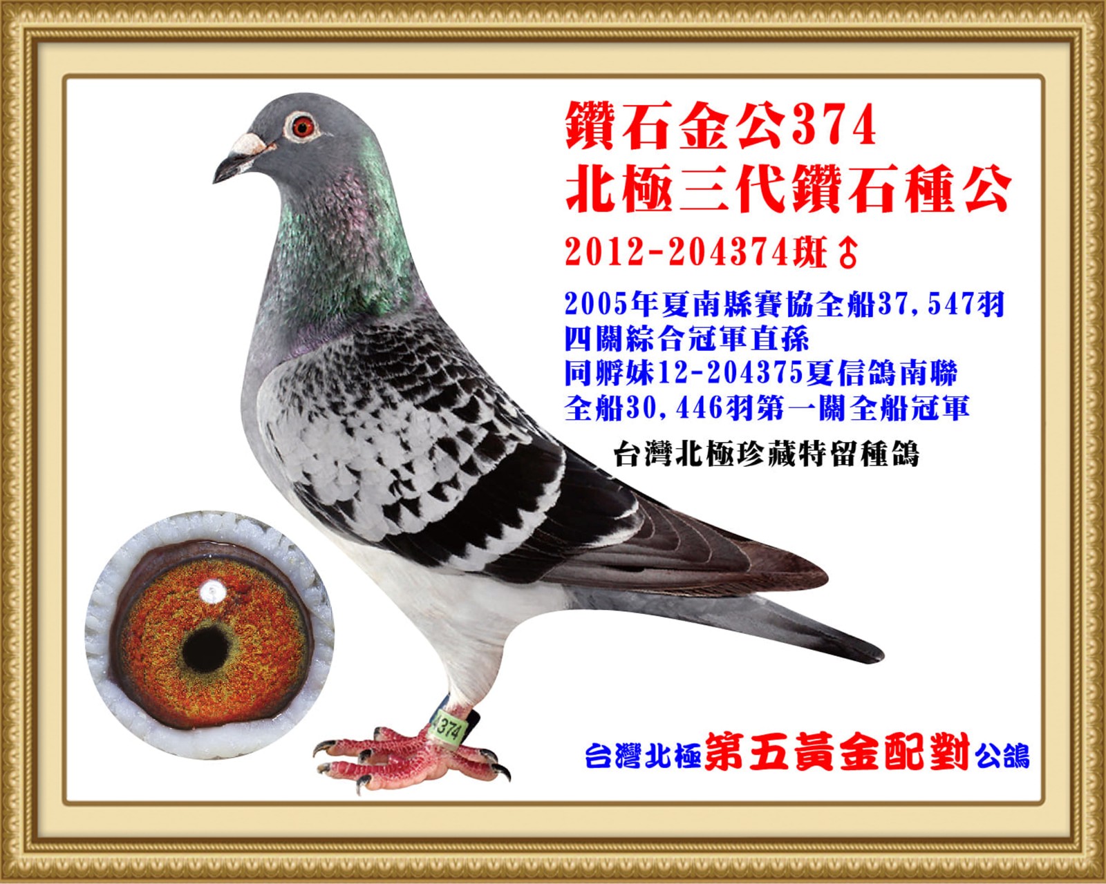 2012-204374-改-壓.jpg