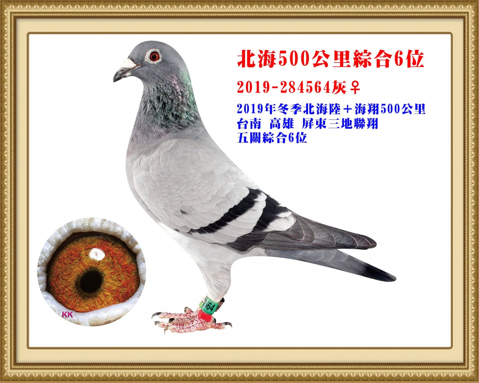 2019-284564.jpg