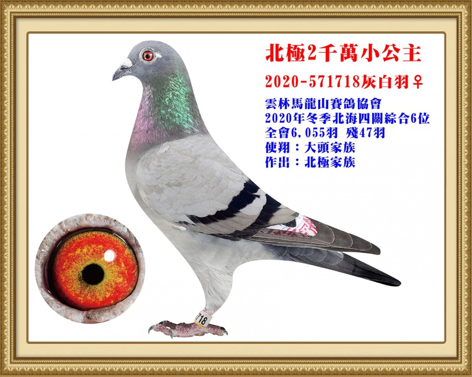 2020-571718-改.jpg