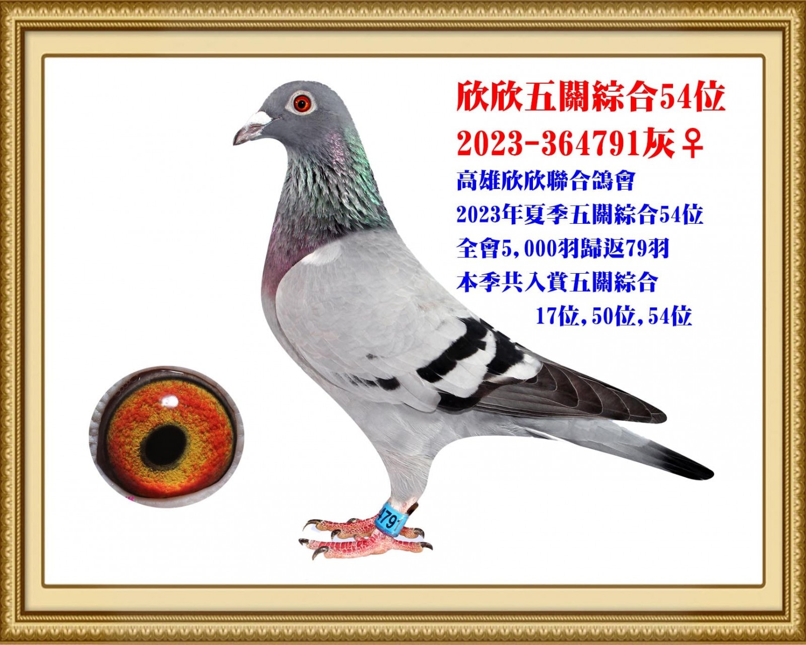 2023-364791 拷貝.jpg