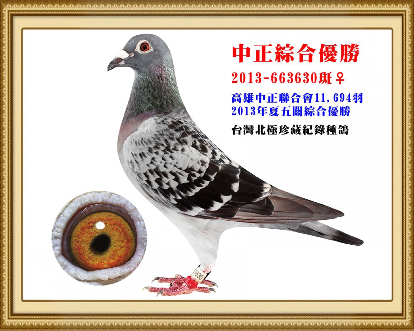 2013-663630-改.jpg