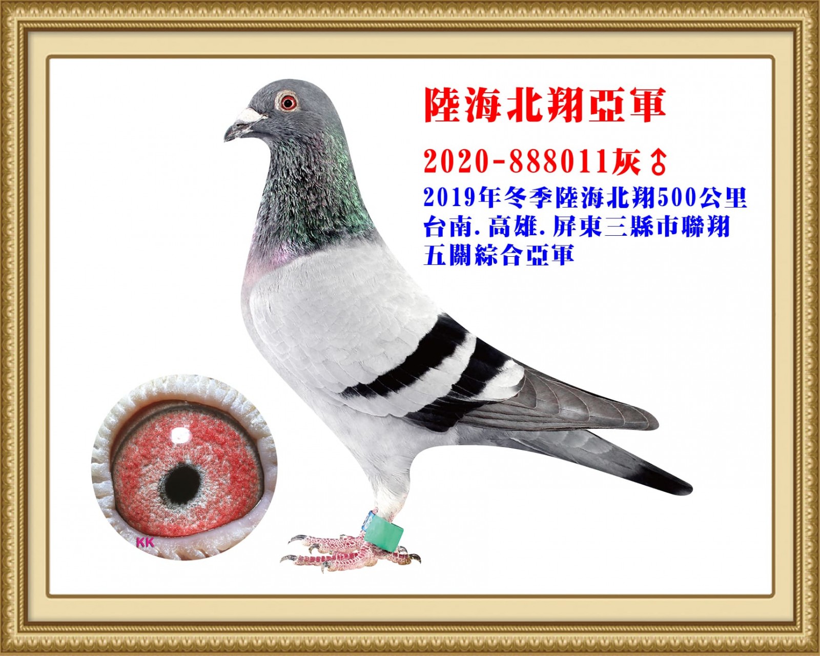 2020-888011.jpg