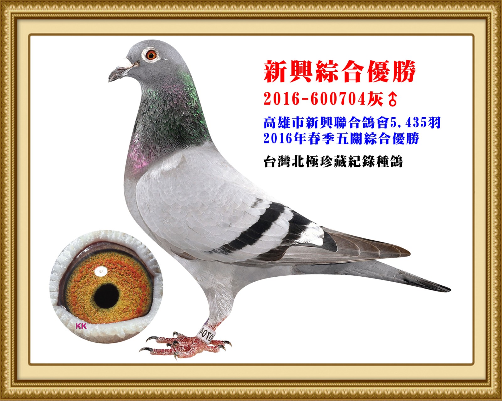 2016-600704-改-壓.jpg