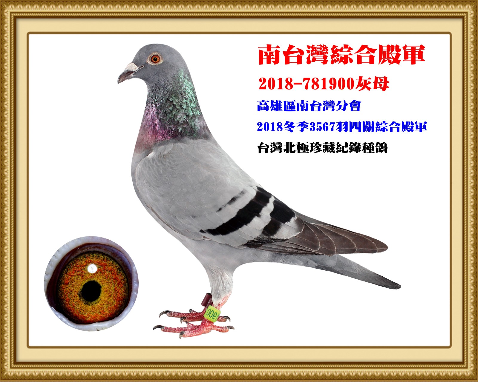 2018-781900-改-壓.jpg