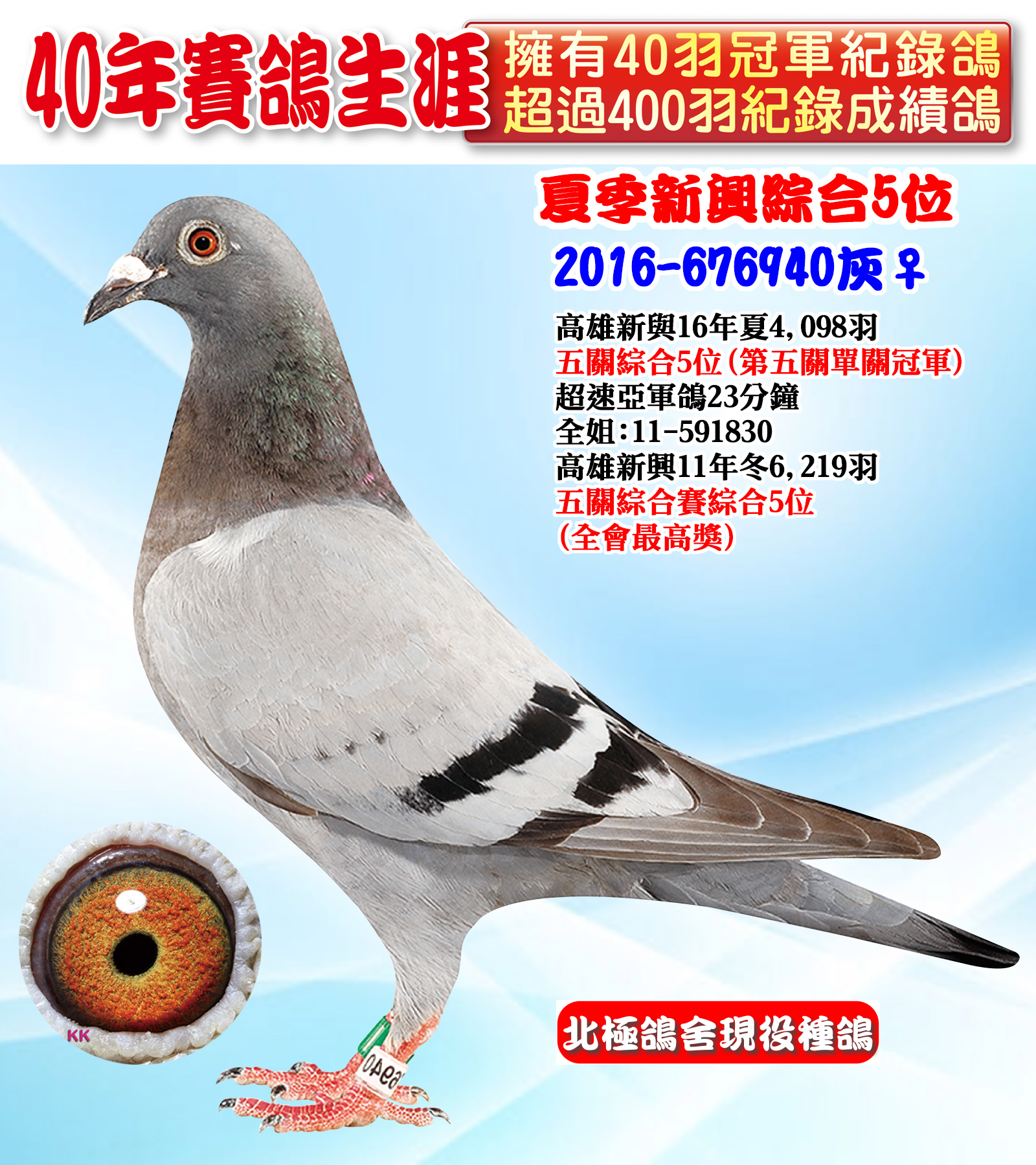 2016-676940.jpg