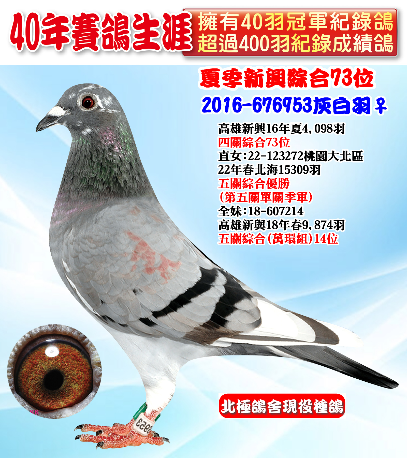 2016-676953.jpg