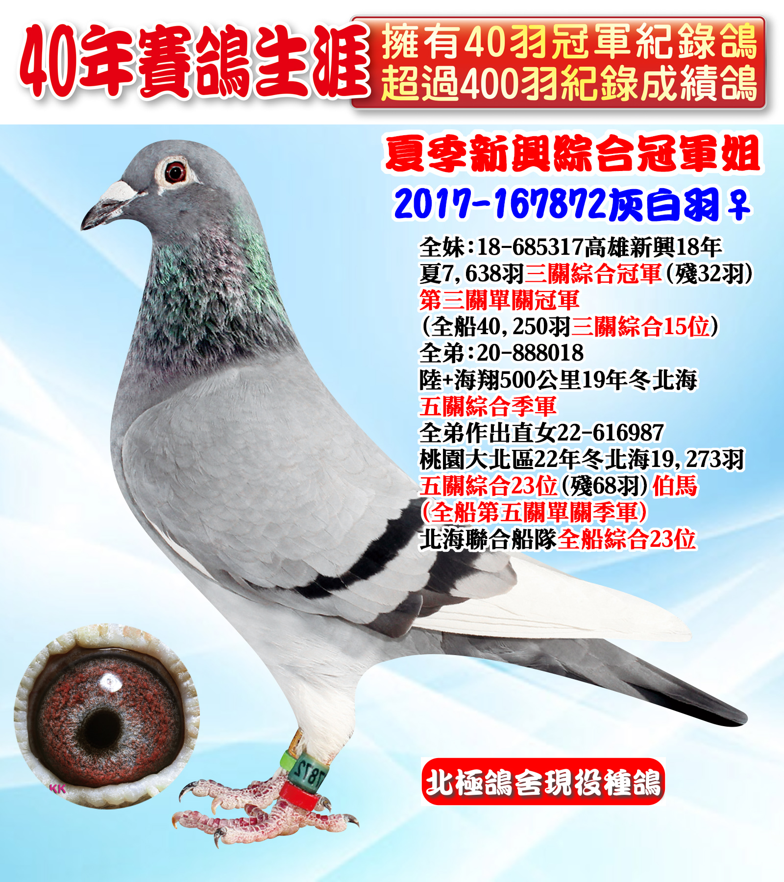 2017-167872.jpg