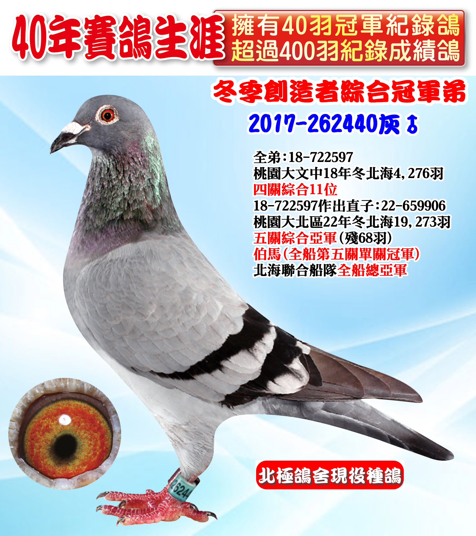 2017-264440.jpg