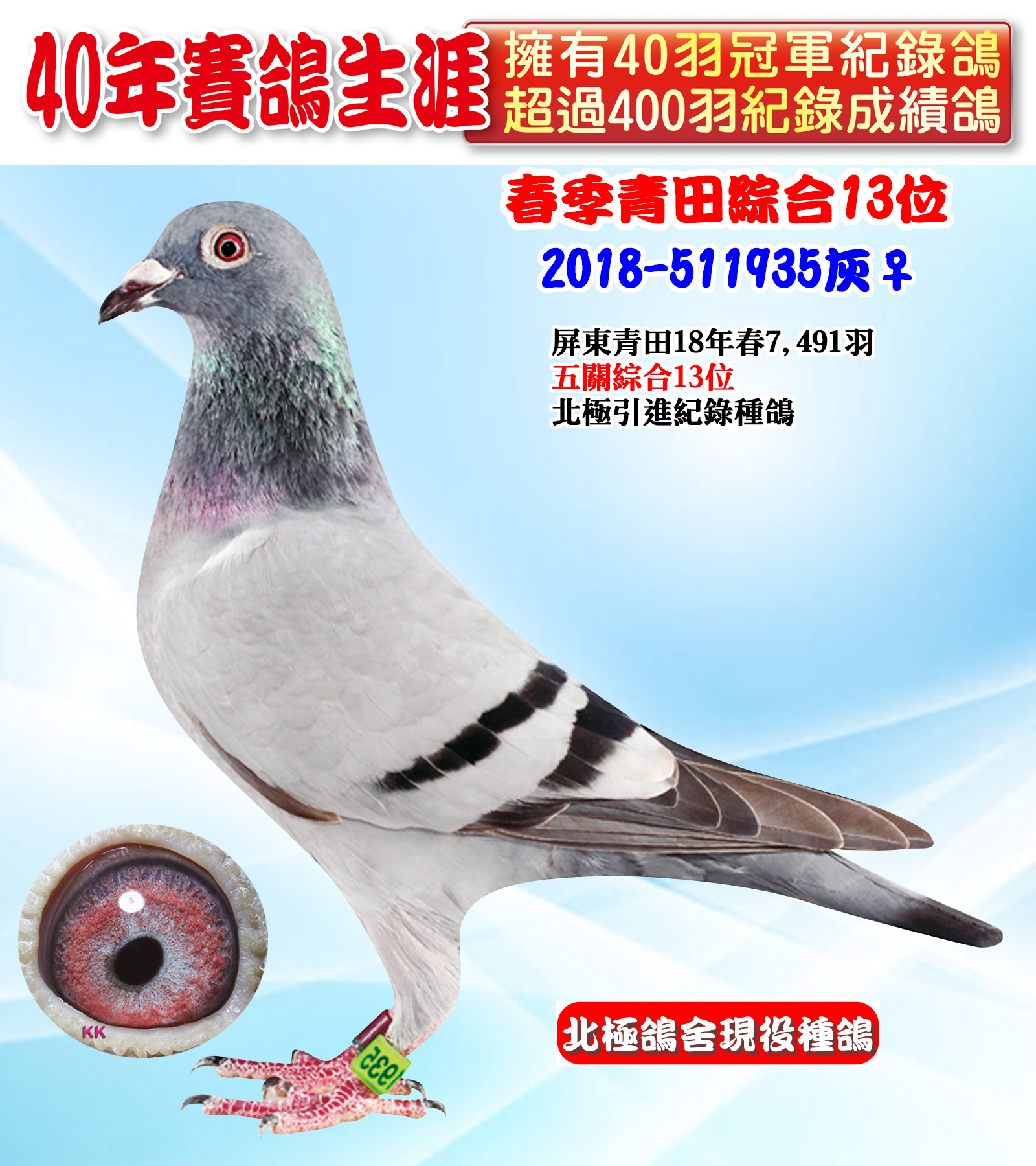 2018-511935.jpg