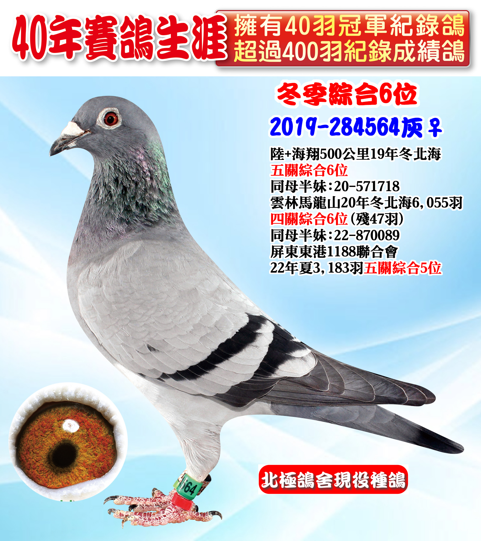2019-284564.jpg