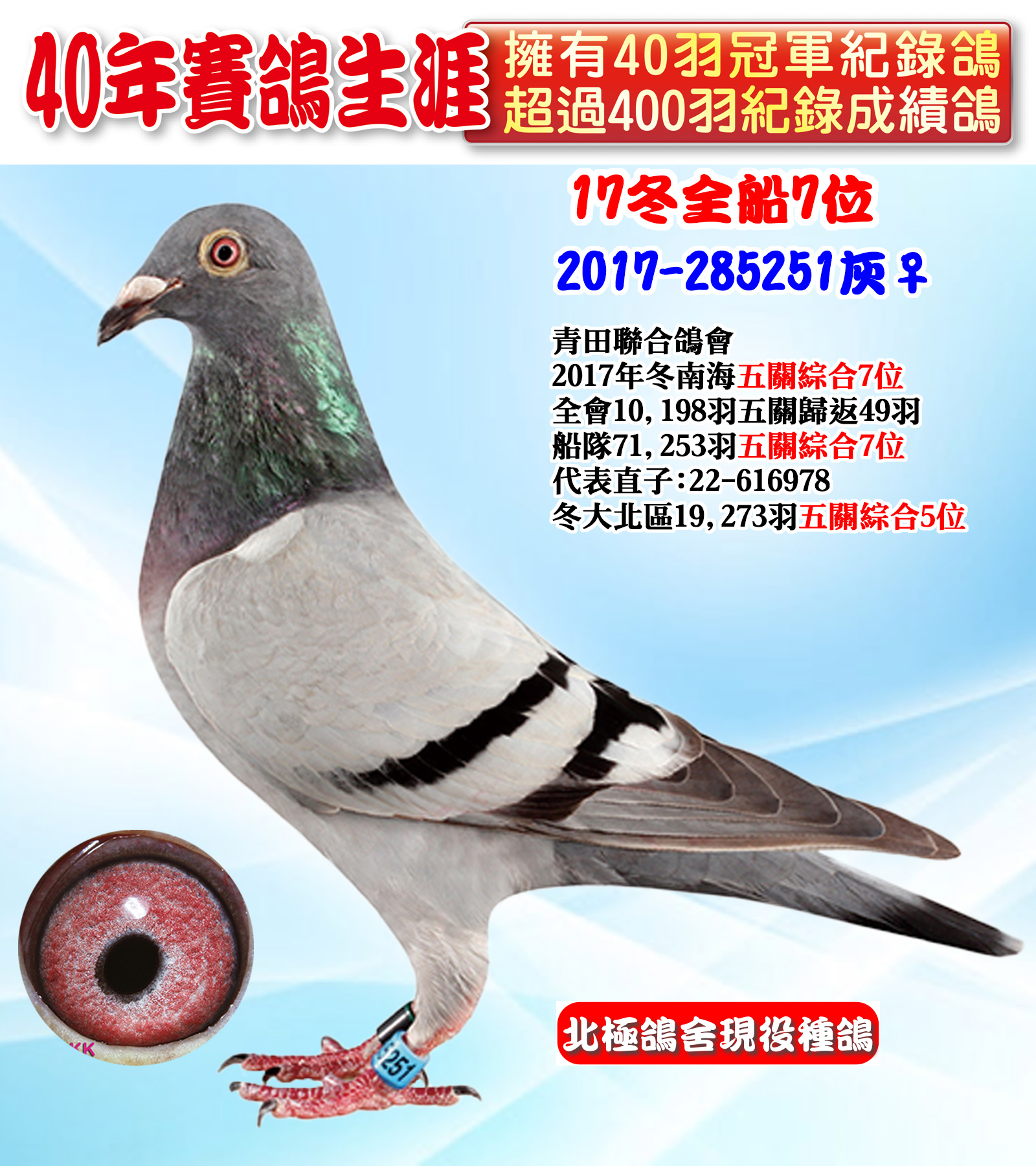 2017-285251.jpg