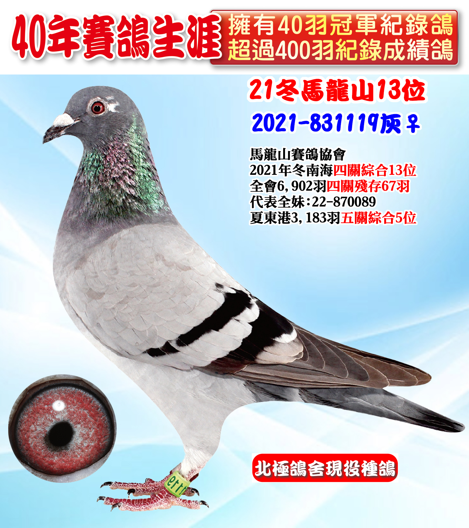 2021-831119.jpg
