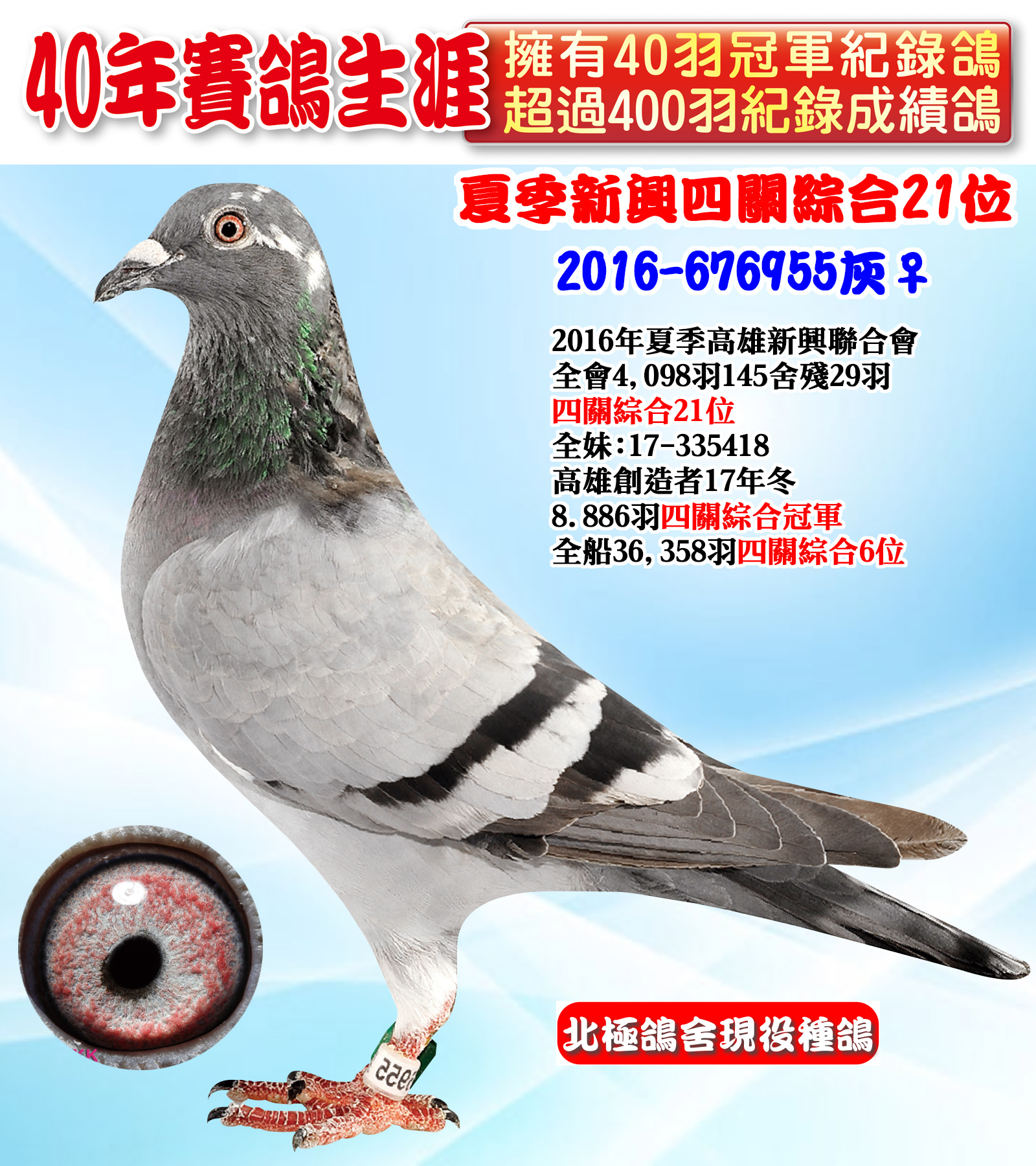 2016-676955.jpg
